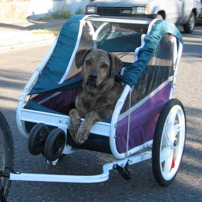 Barley Wagon