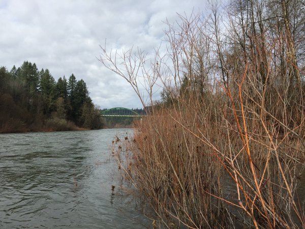 Tweet: Hi water on the #clackamas today. Washed away all…