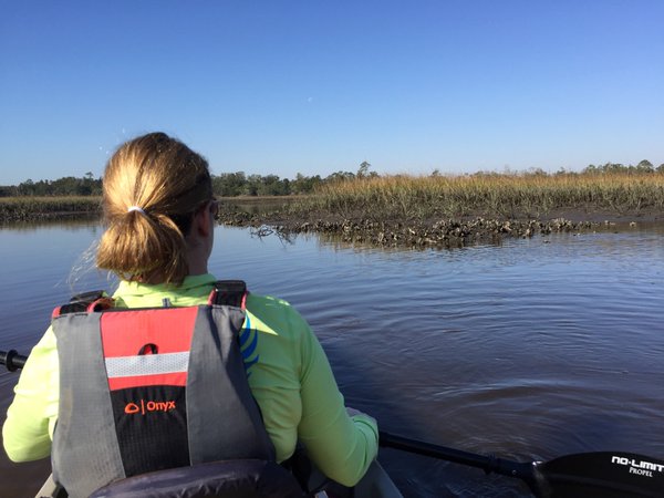 Tweet: Exploring the Tolomato River.  Birds, no gators. O…