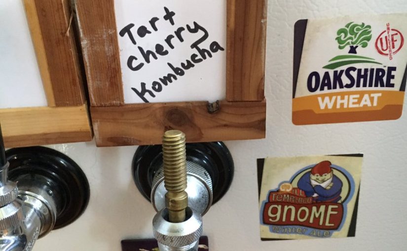 Tweet: Had some of Joe’s home brewed kombucha. Excellent….