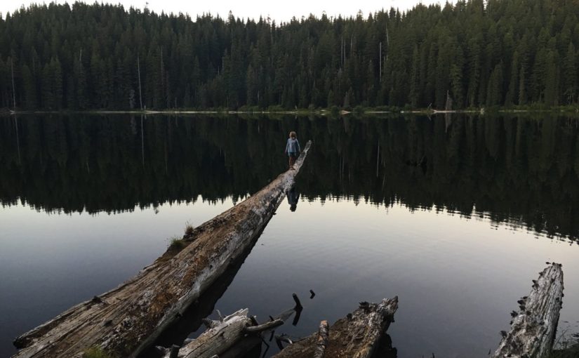 Tweet: Queen of the lake. https://t.co/EOhs3tvVYu